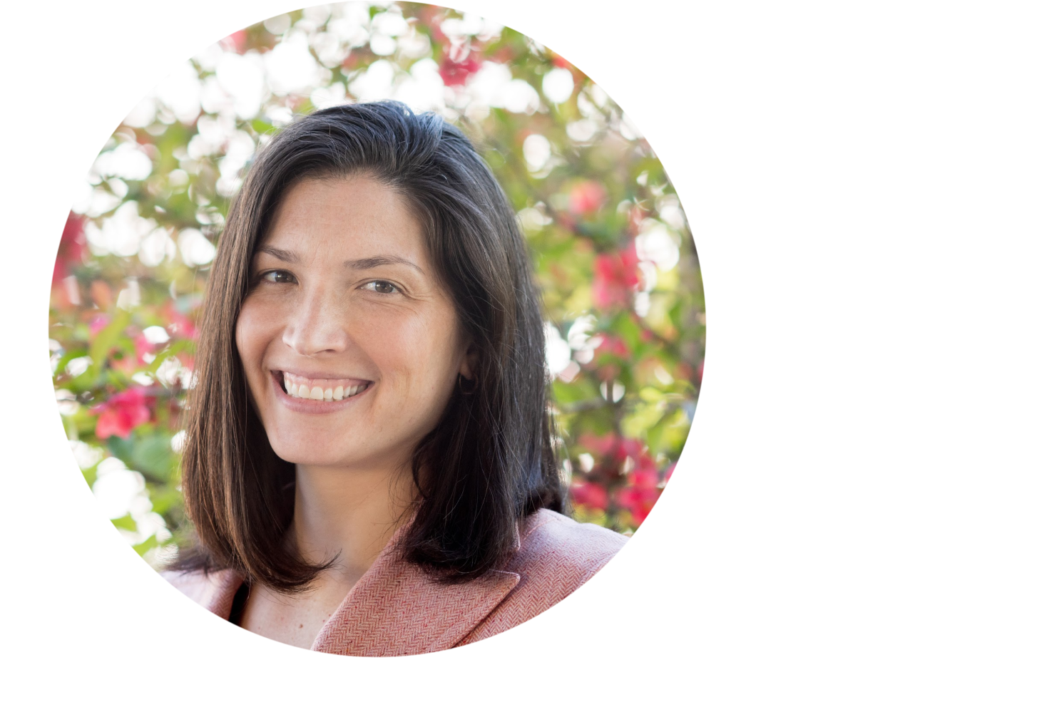 The Color Of Law A Forgotten History Of How Our Government Segregated America Webinar With Panel Discussion Saint Anselm College