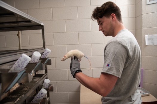 student holding rat in lab