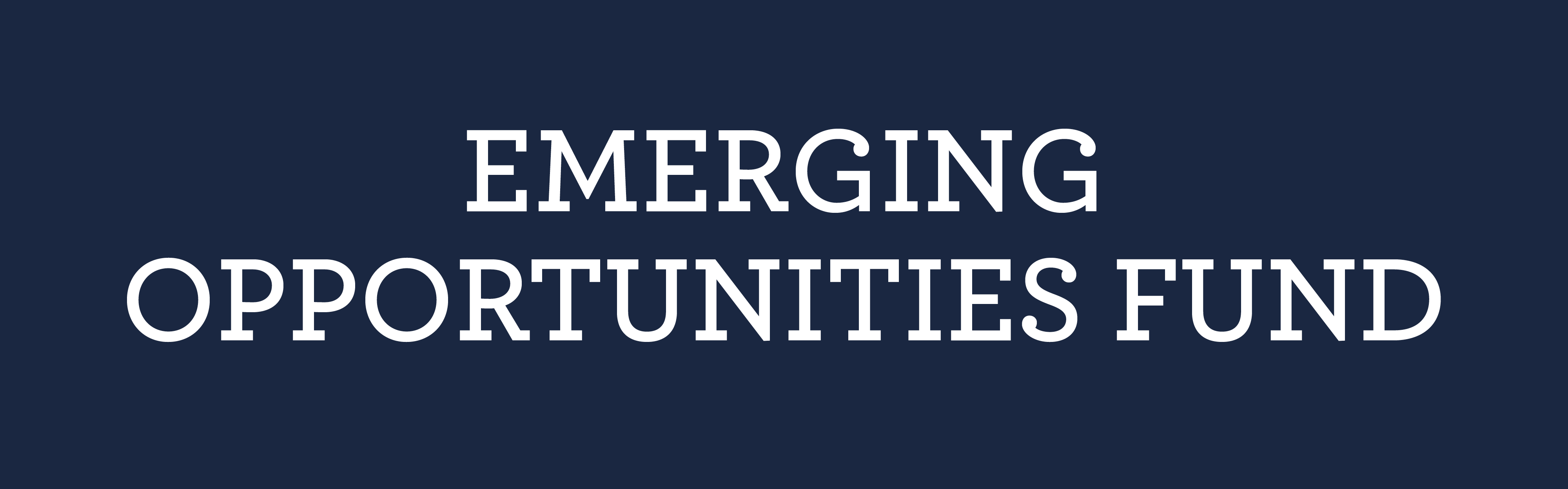 Emerging Opportunities Fund