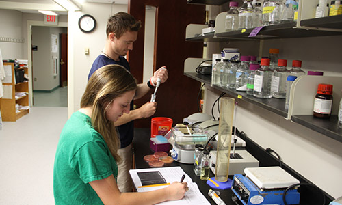 students conducting lab tests