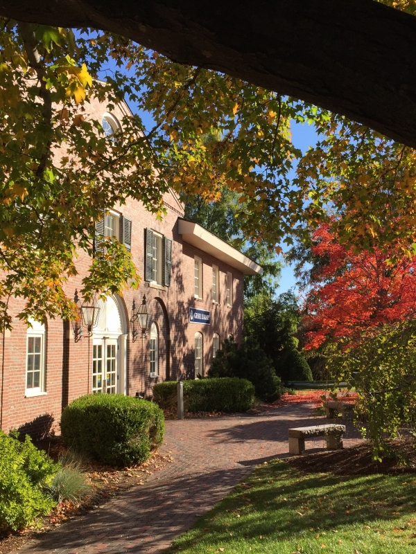 the library building in autumn
