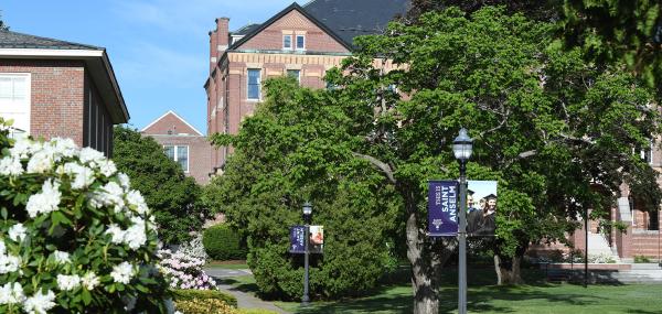 pathway through campus