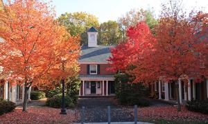 Autumn leaves display many colors at Uppers