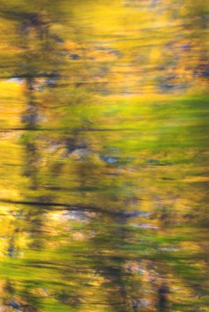 Image of abstracted yellow, chartreuse, and green dupioni silk