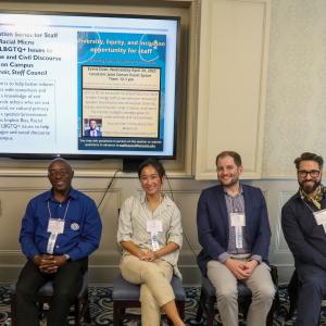 DEI Innovation Panel