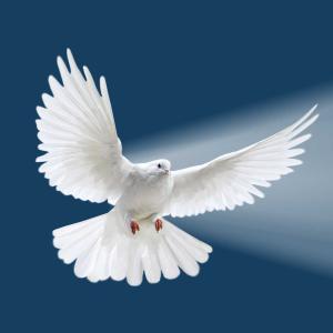Saint Anselm College Campus Ministry: Mass of the Holy Spirit | August 26th, 2024 at 10:30 a.m. All are welcome!