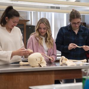 Four students in a lab examining bones