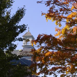 Image of a building's cupola peeking through fall foliage