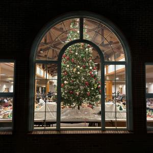 View of a christmas tree through the window of a dining hall