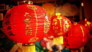Chinese New Year Celebration 2025