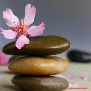 Holistic