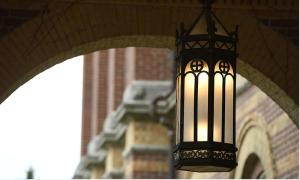 lights in front of alumni hall