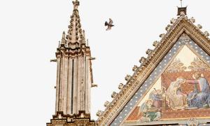 A bird flying above a church