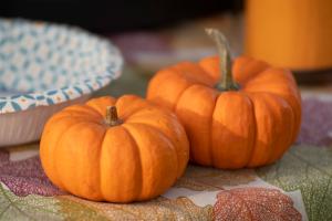 A group of mini pumpkins