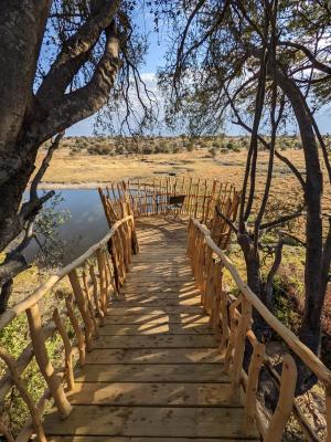 Lookout point with an up-close glimpse of the surrounding wildlife of Botswana