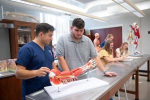 Health Science students in the lab