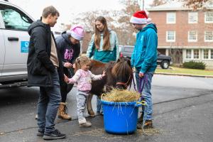 UpReach Therapeutic Equestrian Center’s miniature horse, Milky Way