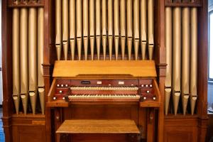 Frontal view of an organ