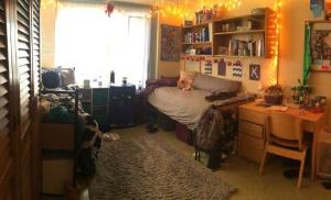 Decorated female residence hall room