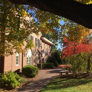 library in the fall