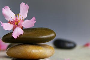 Holistic