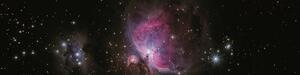 Stars