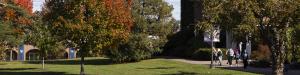Fall image of a college campus with individuals walking.