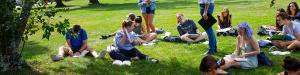 students studying on quad