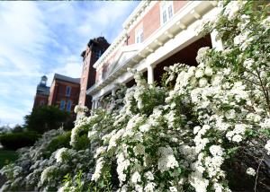 bushes in front of a campus building