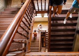 students walking in the alumni hall stairwell