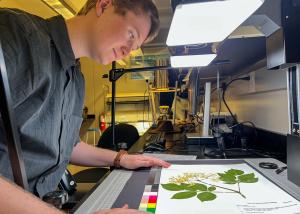Student working on botany research in the lab