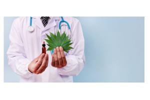 Doctor holding a cannabis plant and tincture