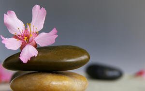 Holistic