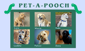 Pictures of therapy dogs visiting the library between May 5 and May 9