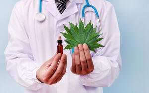 The Cannabis Conversation: Updates for Nursing Practice