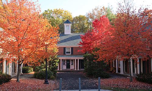 Autumn leaves display many colors at Uppers